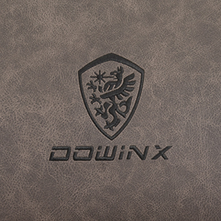 Dowinx Gaming Chairs